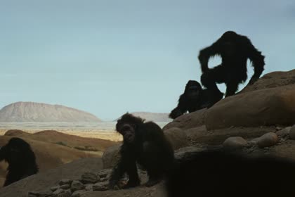 The Dawn of Man